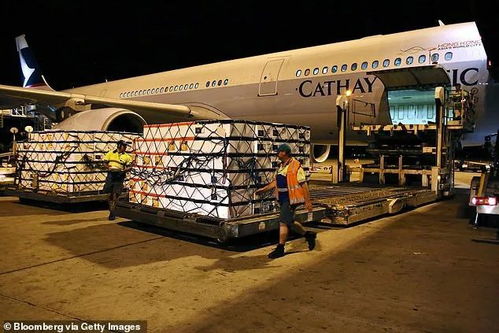 澳洲龍蝦出口受阻 新西蘭龍蝦卻 脫穎而出 ,在中國價(jià)格暴漲