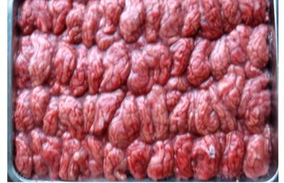 威海昊成貿易 單擺豬腦 收購豬苦膽 批發豬副產品 價格豬副產品圖片_高清圖_細節圖