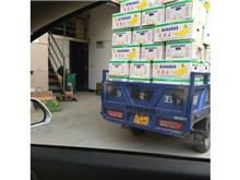 保健品源頭廠家商品服務(wù)與報(bào)價(jià)詳情